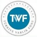 Türkiye Varlık Fonu